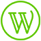 WordPress Developer